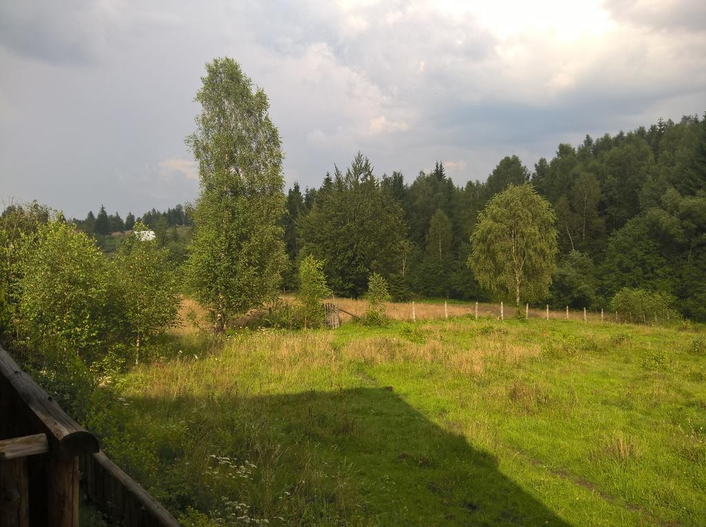 Cabana Belis Dealu Negru Exteriér fotografie