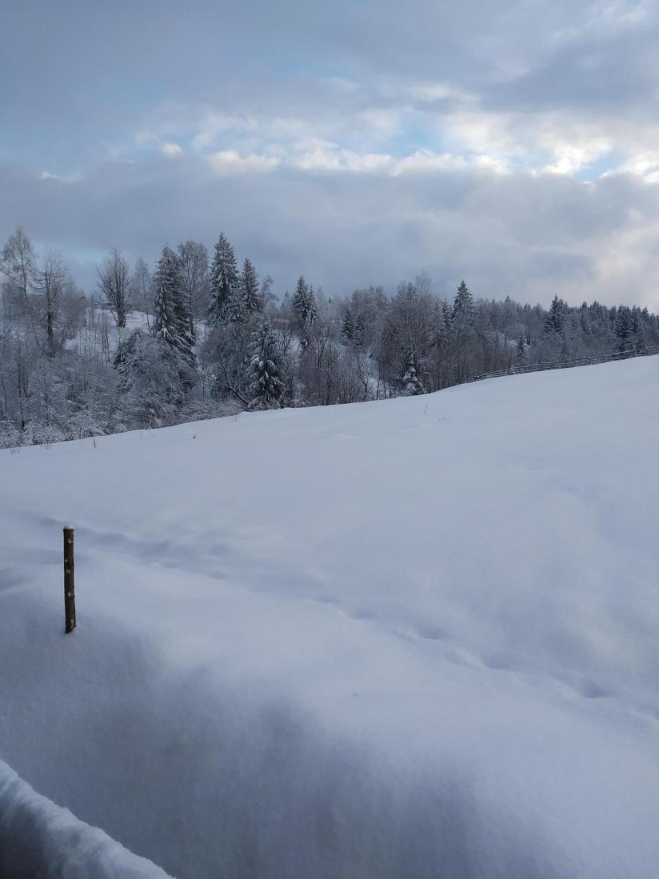Cabana Belis Dealu Negru Exteriér fotografie